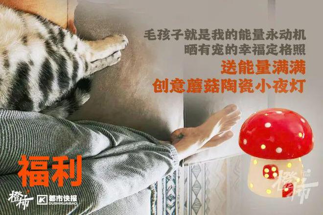 楼要几分钟？橙柿请你挑战自我ayx爱游戏app爬60层