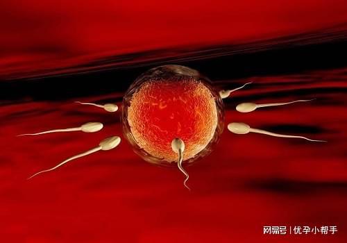 备孕及孕期需要注意什么呢？-优孕行爱游戏(ayx)中国网站高龄女性(图1)