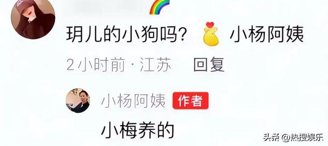 大S和马筱梅发声首次公开俩孩子居住环境ayx爱游戏app小杨阿姨回怼黑粉为(图2)